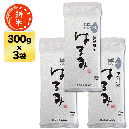 新米 白米 神奈川県産 はるみ 900g 令和6年産