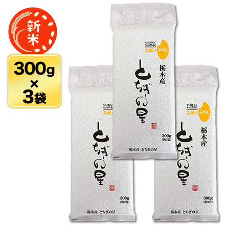 新米 白米 栃木県産 とちぎの星 900g 令和6年産