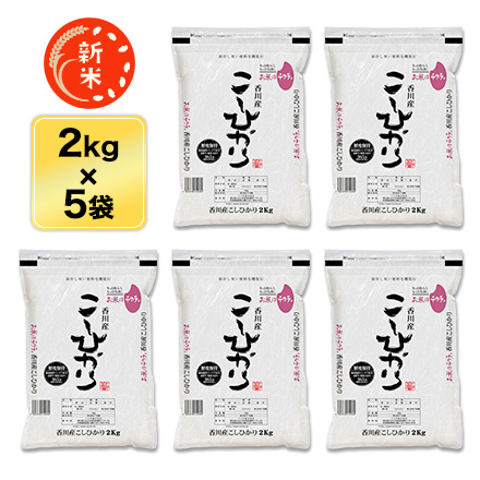 新米 白米 香川県産 コシヒカリ 10kg 2kg×5袋 令和5年産