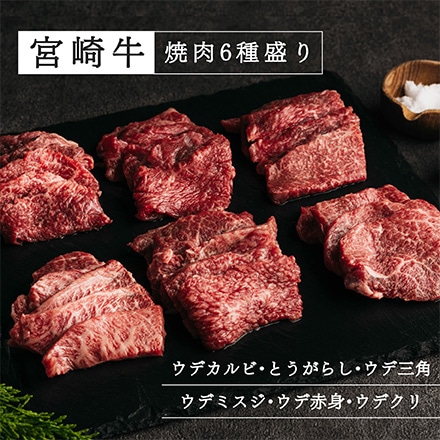 タマチャンショップ 宮崎牛焼肉6種盛り 600g 専用ボックス付
