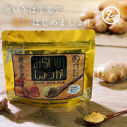 タマチャンショップ 生姜 粉末 みらいのしょうが 70ｇ