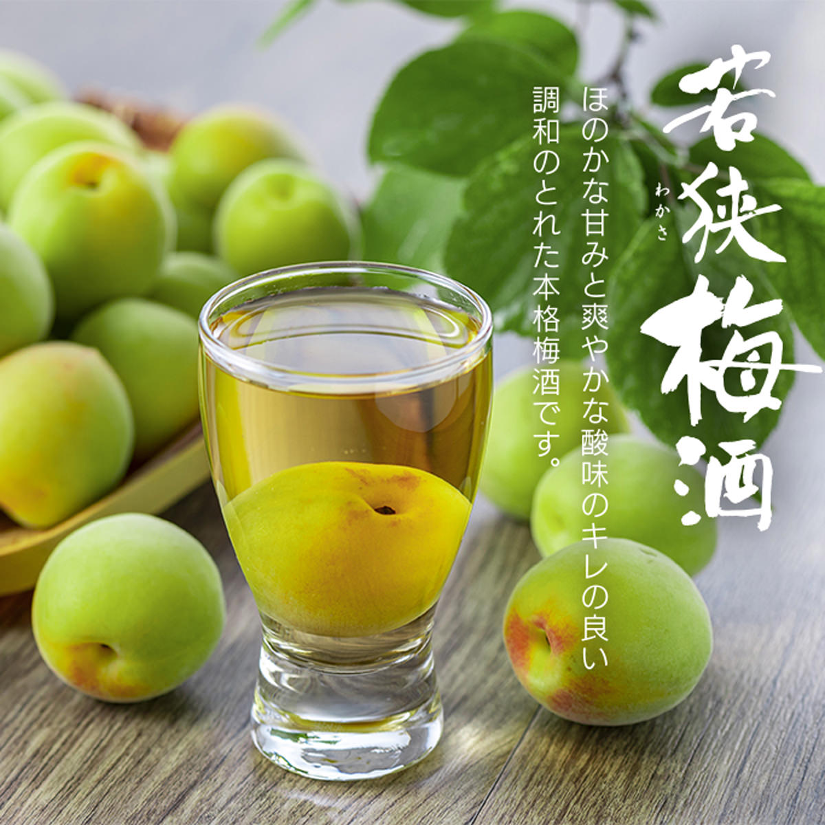 若狭梅酒 ギフトセット 〔若狭梅酒500ml、レモングラス梅酒500ml〕 お酒 梅酒