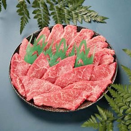 味彩牛 網焼き肉 モモ 500g 牛脂×2