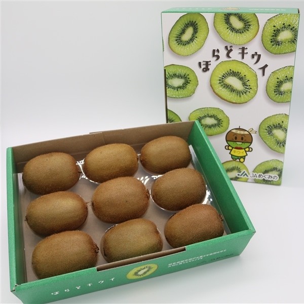 キウイフルーツ 特選品ほらどキウイ 岐阜県産 Lサイズ 9玉x2箱 約2kg 【数量限定】