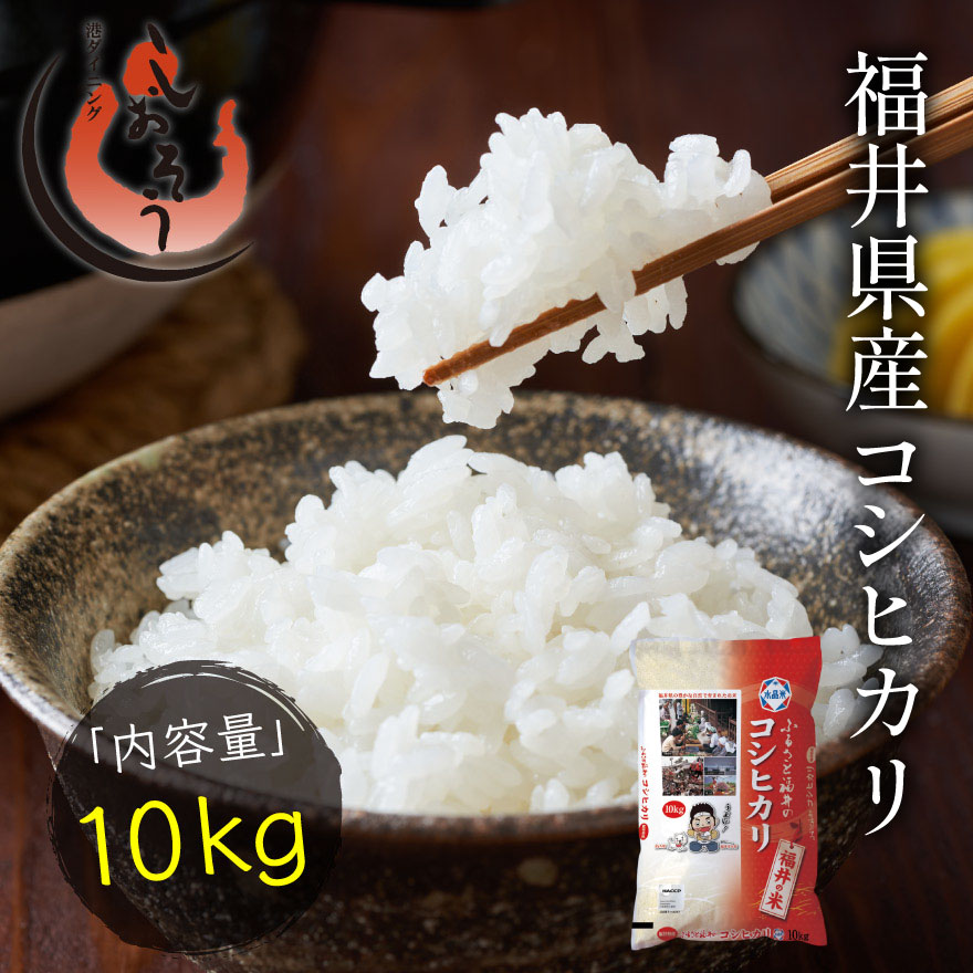 新米 福井県産 コシヒカリ 10kg 令和6年産