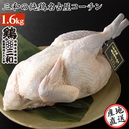 国産 地鶏 三和の純鶏名古屋コーチン丸鶏中抜き 1.6kg