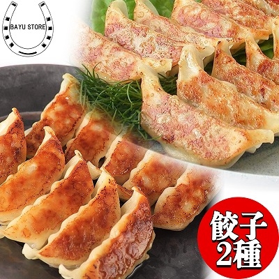 餃子 2種 60個　冷凍 大容量 えび しそ