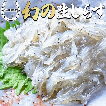 生しらす 兵庫県産 朝獲れ 生しらす 100g×5 500g