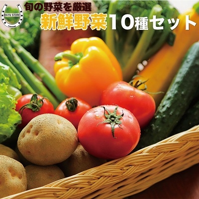 お任せ 野菜セット 約10種 旬のお野菜を楽しめる詰め合わせ