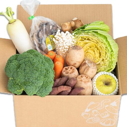 訳あり 食品 ロスヘル 野菜 果物 詰め合わせ セット 【合計7種類以上 約3-5kg 】規格外野菜 国産