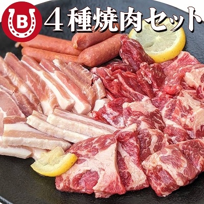 焼肉 BBQ セット 4種盛り 500g 約2人前 ハラミ カルビ ウィンナー