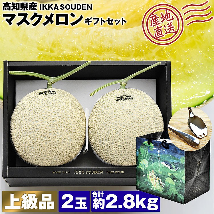 マスクメロン ギフト 高級 2玉 合計2.8kg 1玉1.4kg 上級品 産地直送 高知県産 贈答用 産直 常温便 同梱不可 指定日不可