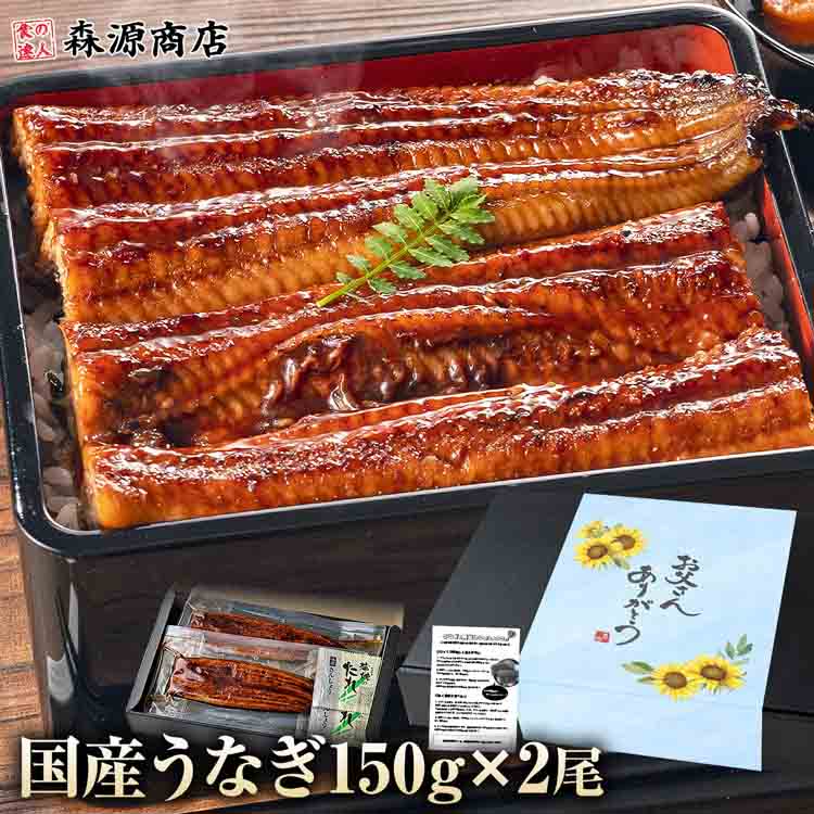 うなぎ 蒲焼き 父の日BOX ギフト 鹿児島県産 150g×2尾 無投薬 国産