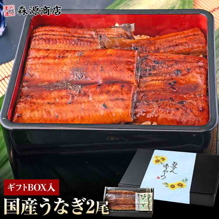 うなぎ 鹿児島県産 2尾 父の日BOX 父の日 125g×2 化粧箱入 国産 蒲焼き 長焼き 無投薬 焼き上げ 無頭 2本
