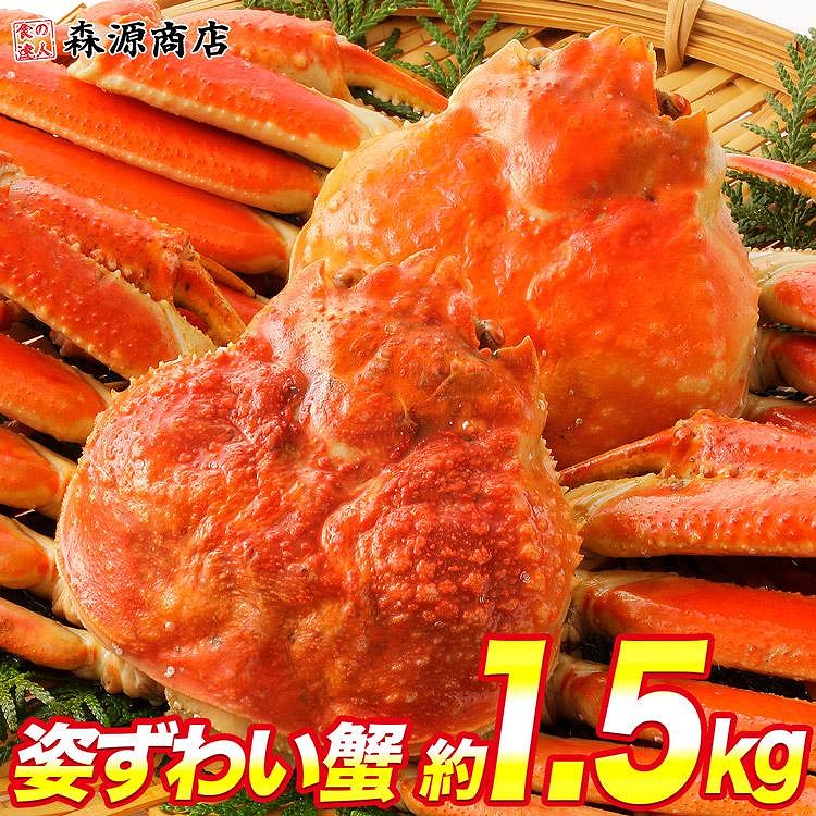 姿ずわい蟹 2尾 ボイル済み 約1.5kg(1.4kg～1.6kg)