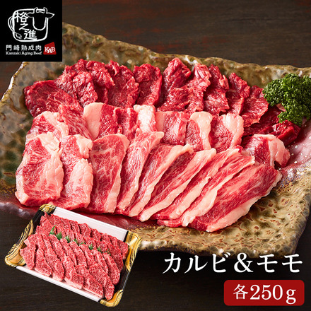 格之進 門崎熟成肉 焼肉セット（カルビ&モモ） 500g メーカー直送