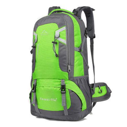 リュック アウトドア 大容量 pmy801 グリーン40L