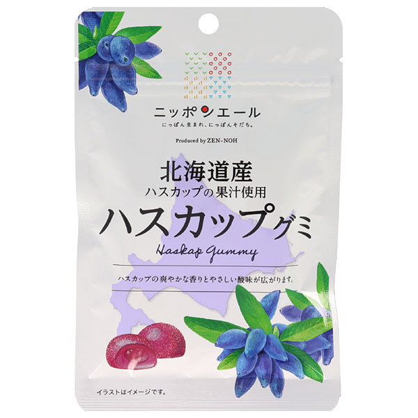 ネコポス JA全農 ニッポンエール 北海道ハスカップ グミ 40g×10袋入| 全国お菓子 グミ 国産 日本産 全農