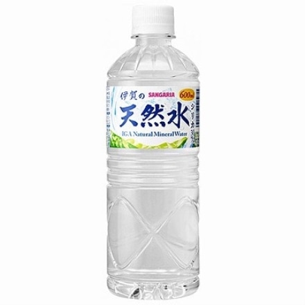 サンガリア 伊賀の天然水 ペットボトル 600ml×24本入×2ケース