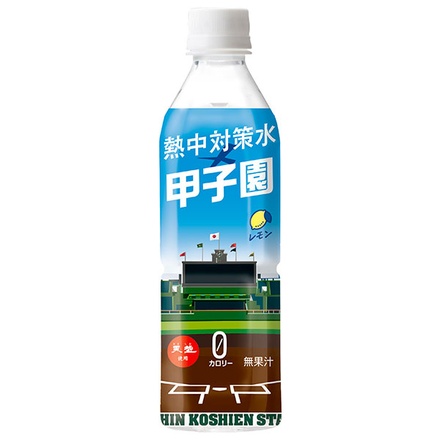 48本