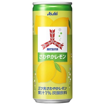 アサヒ飲料 三ツ矢 さわやかレモン 250ml缶×20本入×(2ケース)