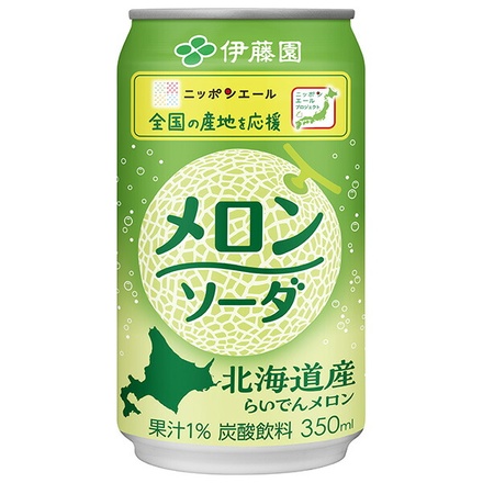 伊藤園 ニッポンエール 北海道産らいでんメロンソーダ 350ml缶×24本入|炭酸 飲料 北海道 メロン
