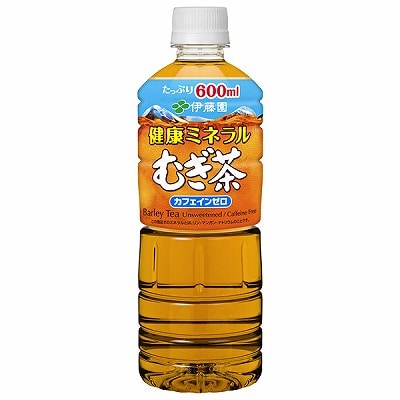 伊藤園 健康ミネラルむぎ茶 600mlペットボトル×24本入×(2ケース)