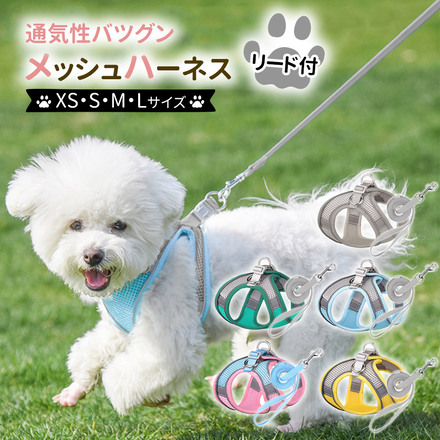 ピンク×ブルー