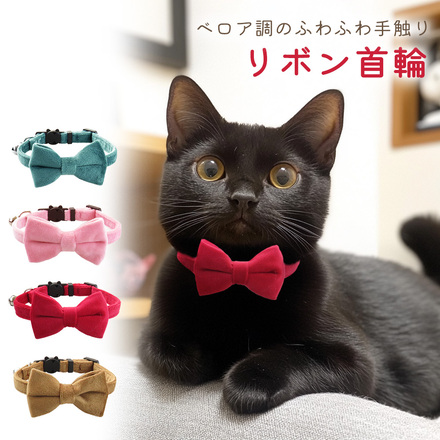 ターコイズブルー