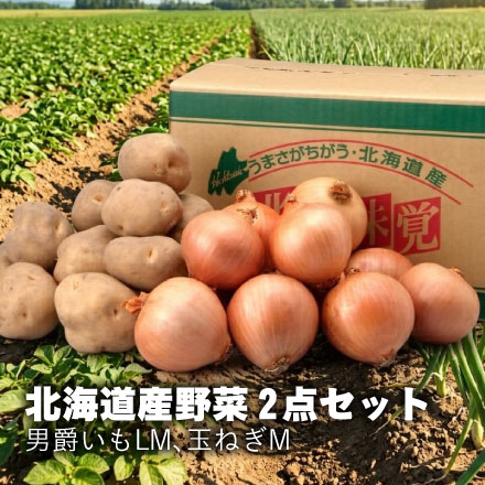 計10kg(男爵いも5kg、玉ねぎ5kg)
