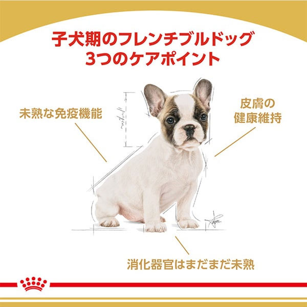ロイヤルカナン フレンチブルドッグ 専用フード 子犬用 1kg