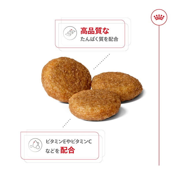 ロイヤルカナン ミディアム アダルト（中型犬専用フード 成犬用） 10kg