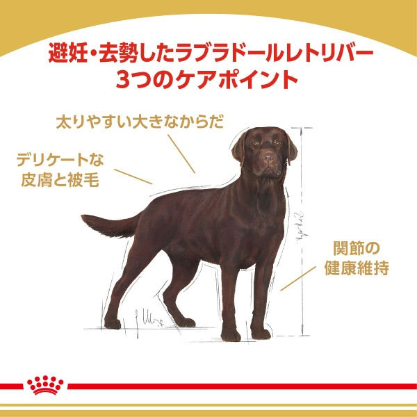 ロイヤルカナン ラブラドールレトリバー 専用フード ステアライズド 成犬～高齢犬用 3kg