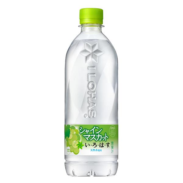 540ml×2ケース/48本