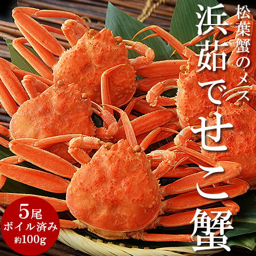 『浜茹でせこ蟹』兵庫県香住産 5尾入（ボイル済 1尾 約100g）※冷凍