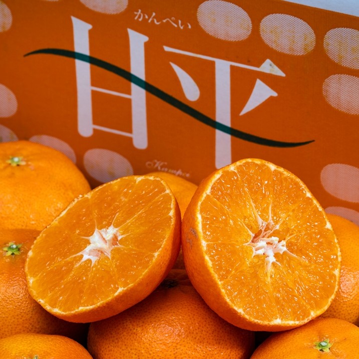 訳アリ ご自宅用柑橘 甘平（かんぺい） 愛媛県産 M‐5L 約5kg 産地箱 風袋込 ※常温