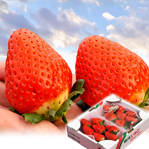 スカイベリー 栃木県産 いちご 4パック 等級：G （1パック：約280g）産地箱 ※冷蔵