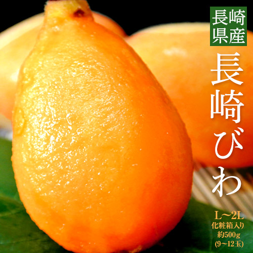 長崎びわ 長崎県産 L-2L 約500g（9-12玉）ハウス栽培 化粧箱 ※冷蔵