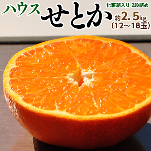 【1/12から順次出荷】柑橘 『せとか』JAからつ 佐賀県産 M‐Lサイズ 約2.5kg（12-18玉）化粧箱 ハウス栽培