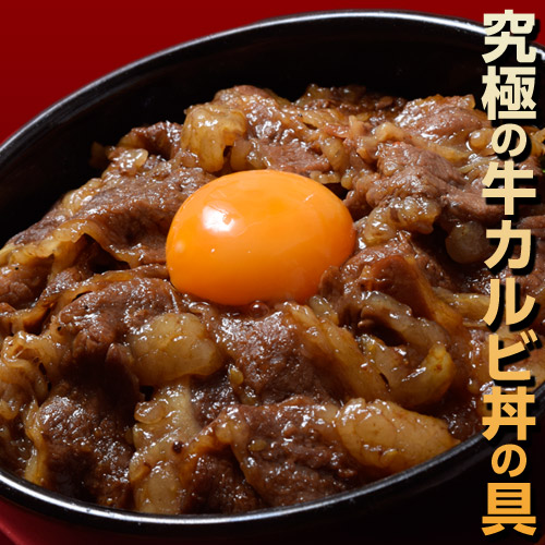 牛カルビ丼の具 1食100g×10食 ※冷凍