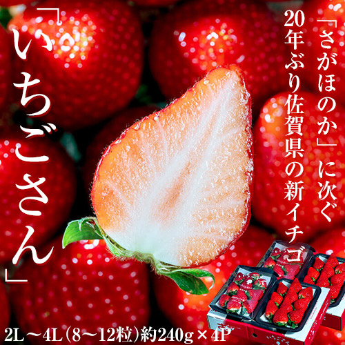 いちごさん 佐賀県産 いちご 2L-4L 約240g×4パック （１Pの目安8-12粒） ※冷蔵