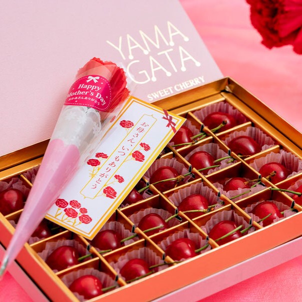 【5/3から順次出荷】 母の日ギフト 山形県産温室さくらんぼ 佐藤錦 Lサイズ 秀品 24粒入（約150g） 化粧箱 ※常温 カーネーション（造花）・メッセージカード付 産地直送