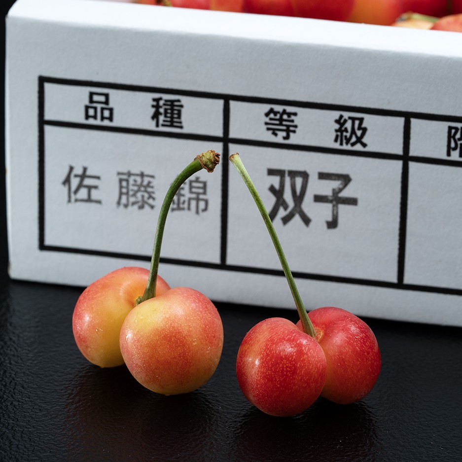 訳あり【6/5から順次出荷】 食べて応援！「双子さくらんぼ（佐藤錦 or 紅秀峰）」山形県産 約1kg 無選別バラ詰め ※冷蔵 産地直送