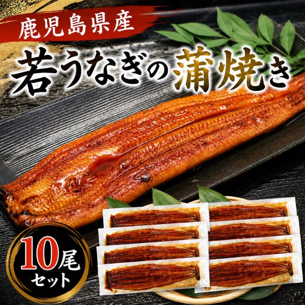 10尾