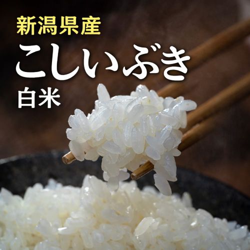 白米 新潟県産「こしいぶき」 10kg(5kg×2袋） 令和7年度産 ※常温