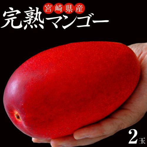 みやざき完熟マンゴー 宮崎県産 2-3Lサイズ 2玉 （1玉：350-499g） 簡易箱 ※常温