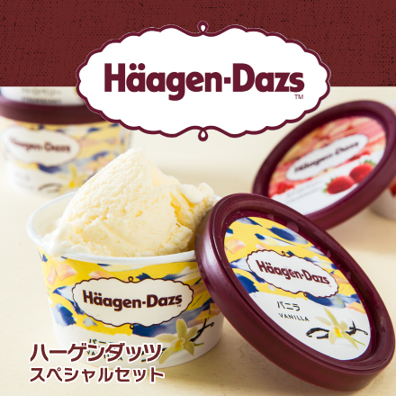  ハーゲンダッツ　スペシャルセット 美食うまいもん市場