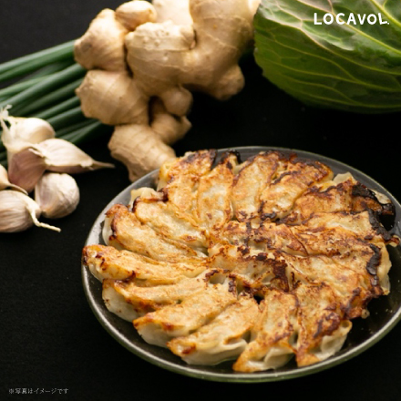 宇佐餃子ギフトセット(5種)