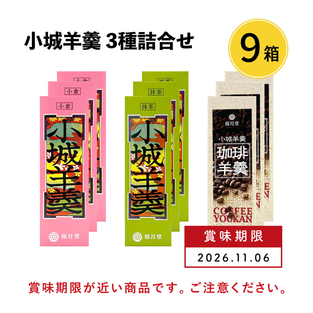 特価品 （賞味期限：2026.11.06）　小城羊羹 9本3種詰合せ（小倉・抹茶・珈琲）　佐賀県　 九州地方 美食うまいもん市場