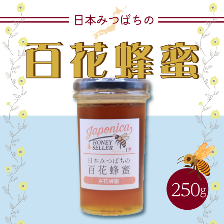 純度100％ 日本みつばちの国産生蜂蜜　250g 千葉県 関東地方 美食うまいもん市場